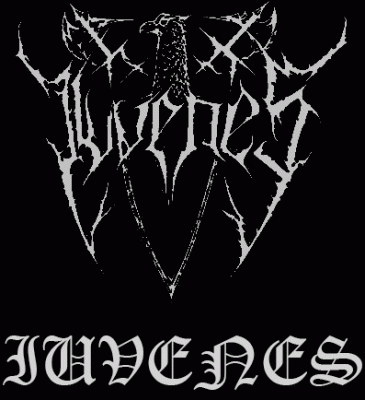 logo Iuvenes logo Iuvenes