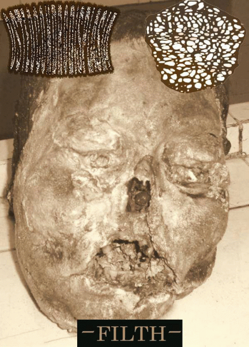 Inhalando Cerebro Seco De Perro : Filth