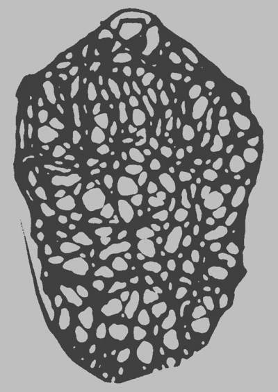 logo Inhalando Cerebro Seco De Perro