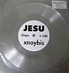 Jesu : Xnoybis