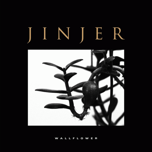 Jinjer : Wallflower