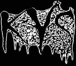 logo KYS