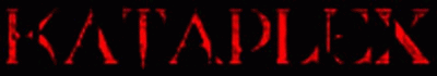 logo Kataplex