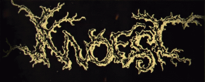 logo Knoest