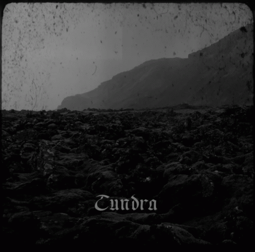 Kohlrabenschwarz : Tundra