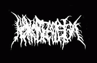 logo Kokkobizarrsium