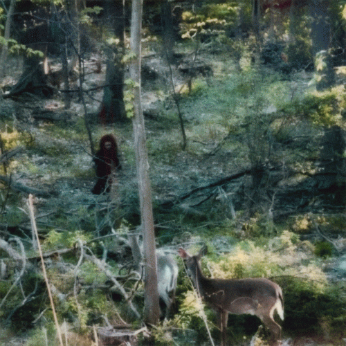 Krauhl : Circumstances Krauhl : Circumstances