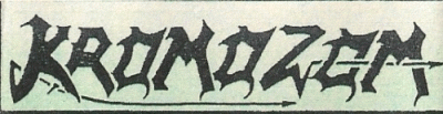 logo Kromozom