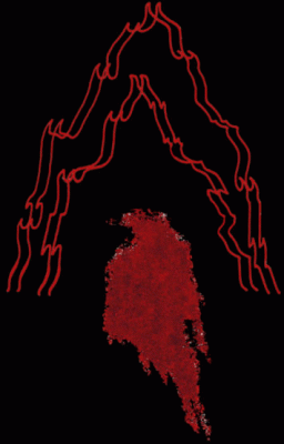 logo Kronowski logo Kronowski