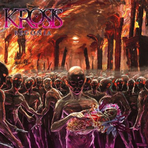 Krosis (USA) : Begonia