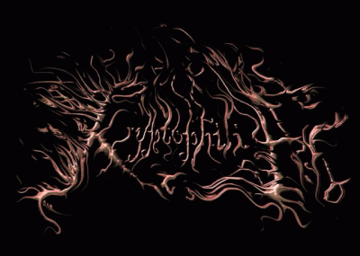 logo Kryptophilia logo Kryptophilia