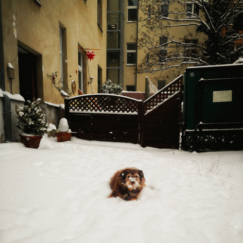 Lament (IDN) : Morris