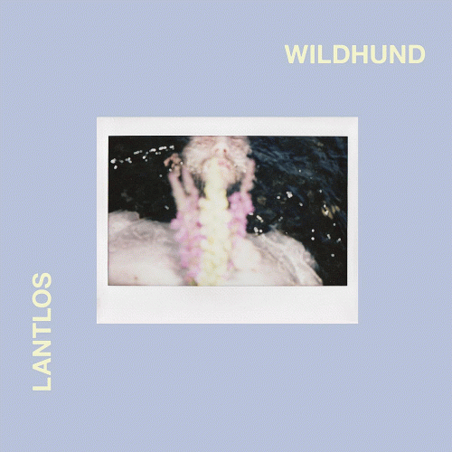 Lantlôs : Wildhund