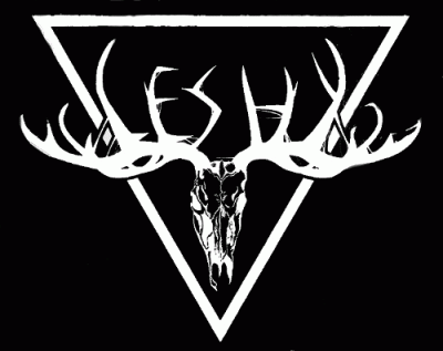 logo Leshy