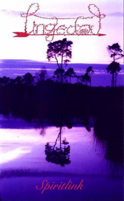 Spiritlink