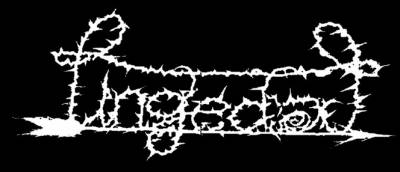 logo Lingedal logo Lingedal