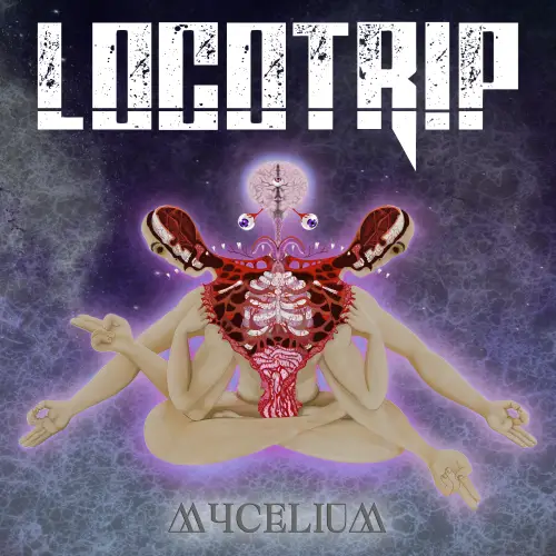 Locotrip : Mycelium