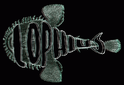 logo Lophius