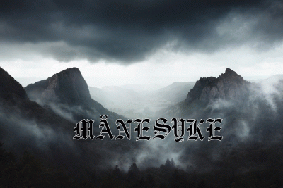 logo Manesyke logo Manesyke