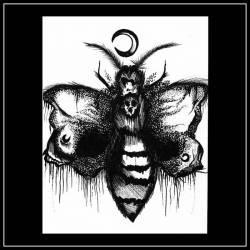 Madeira : Bury You: Live Sessions 2015