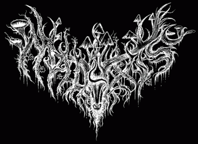 logo Malaxis logo Malaxis