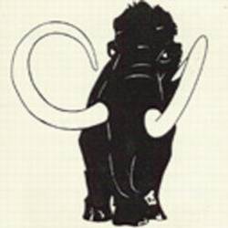 Marzuraan : Mammuthus