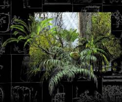 Maxdmyz : Muthablud Maxdmyz : Muthablud