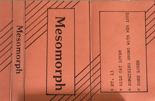 Mesomorph : Mesomorph