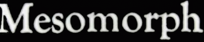 logo Mesomorph