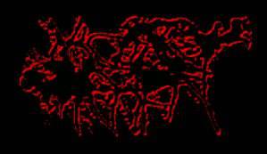 logo Messflesh