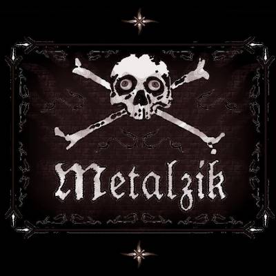 logo Metalzik