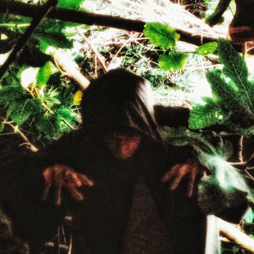 Midoran : Midöran'Fühldia