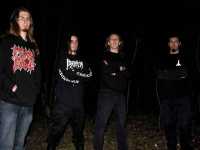 interview Mindripper