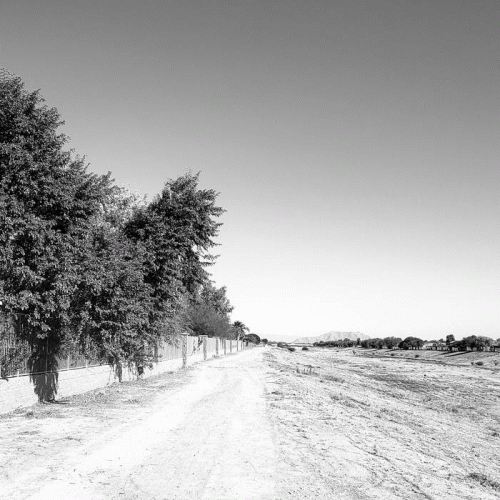 Misertus : Interweaving