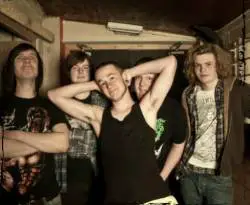 Mister Sister Fister Discography Line Up Biography Interviews Photos mister sister fister discography