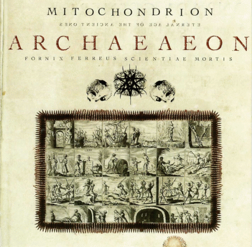 Archaeaeon