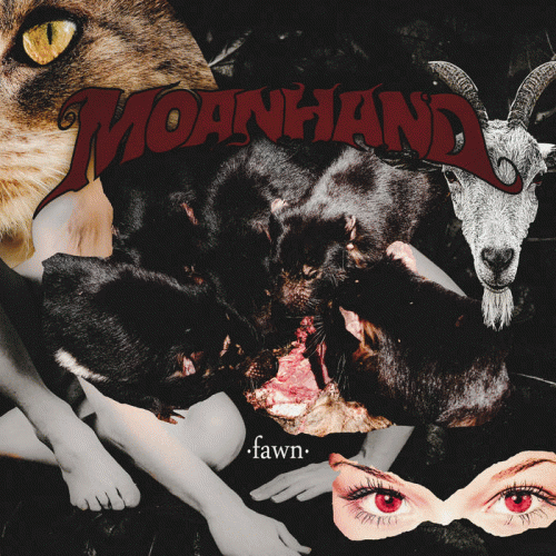 Moanhand : Fawn