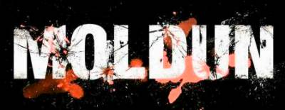 logo Moldun