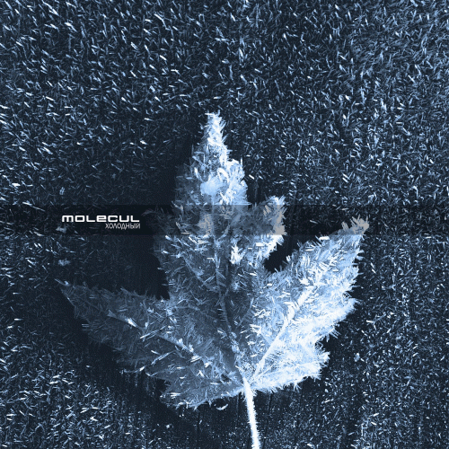 Molecul : Холодный