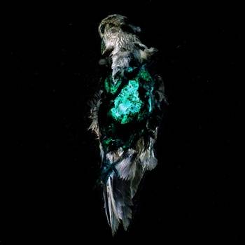 Monvment : TWASNK...UTE! Monvment : TWASNK...UTE!