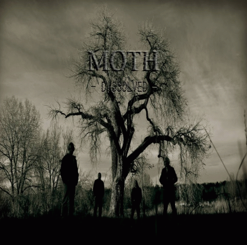 Moth : Dissolved
