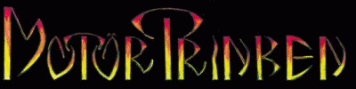 logo MotörTrinken