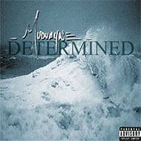 Mudvayne : Determined