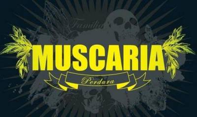 logo Muscaria