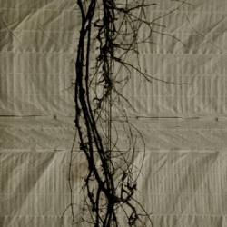 Mytrip : Low Mytrip : Low