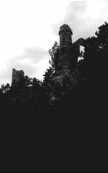 Nachtruf : Schattengeister