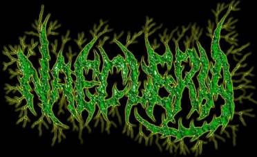 logo Naegleria