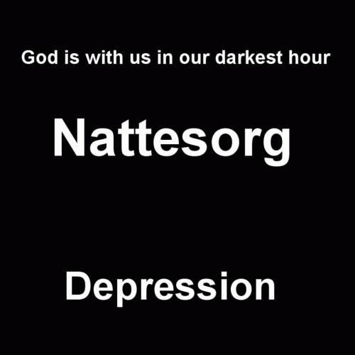 Nattesorg : Depression