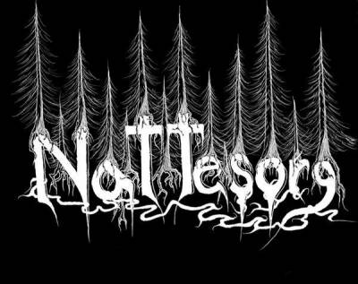 logo Nattesorg