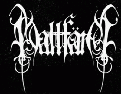 logo Nattfard